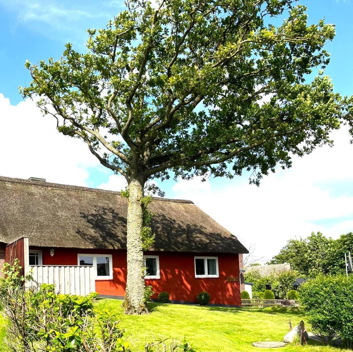 Haus Hanna Dagebüll Exterior foto